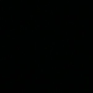 Meet your Posher, Duy